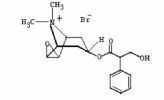  Scopolamine Methobromide